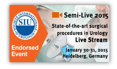Semi-Live 2015