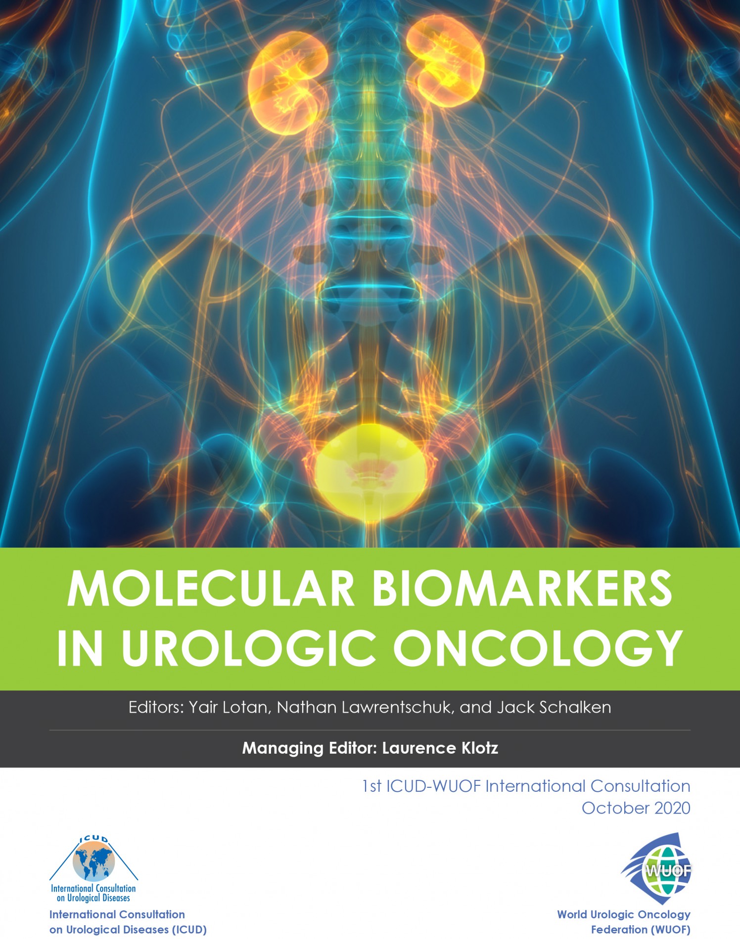 1st ICUD-WUOF Consultation: Molecular Biomarkers in Urology