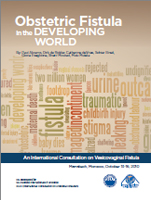 Vesicovaginal Fistula in the Developing World (2010)