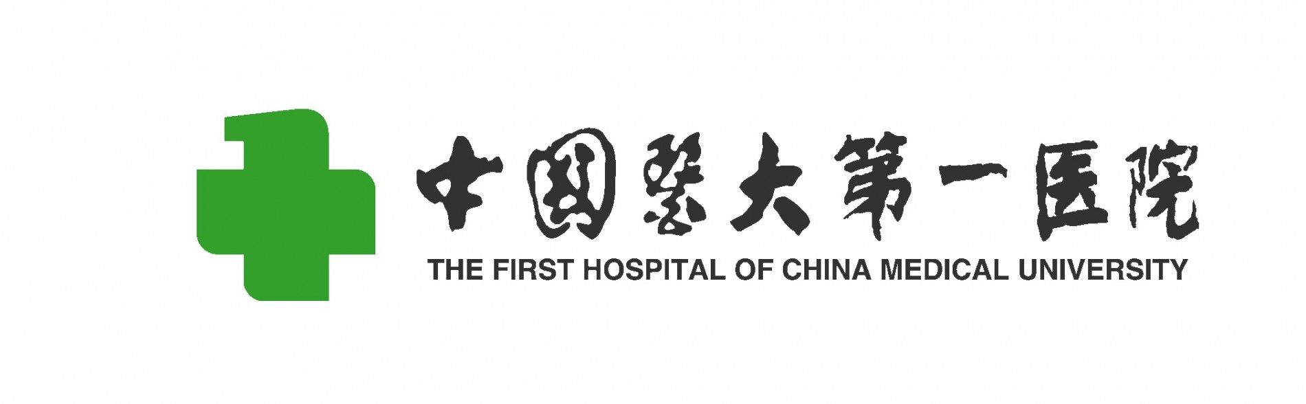 The First Hospital of China Medical University